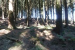 The battle of Hürtgen Forest, North Rhine-Westphalia – Germany