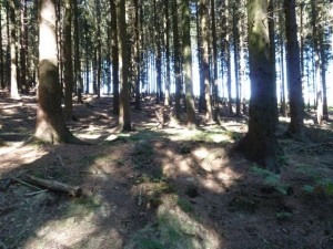 The battle of Hürtgen Forest, North Rhine-Westphalia – Germany