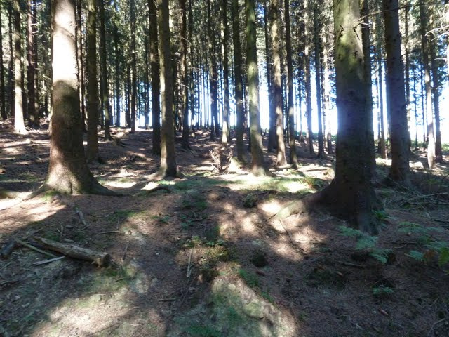 The battle of Hürtgen Forest, North Rhine-Westphalia - Germany