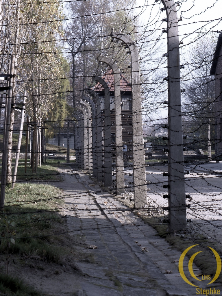 Fences