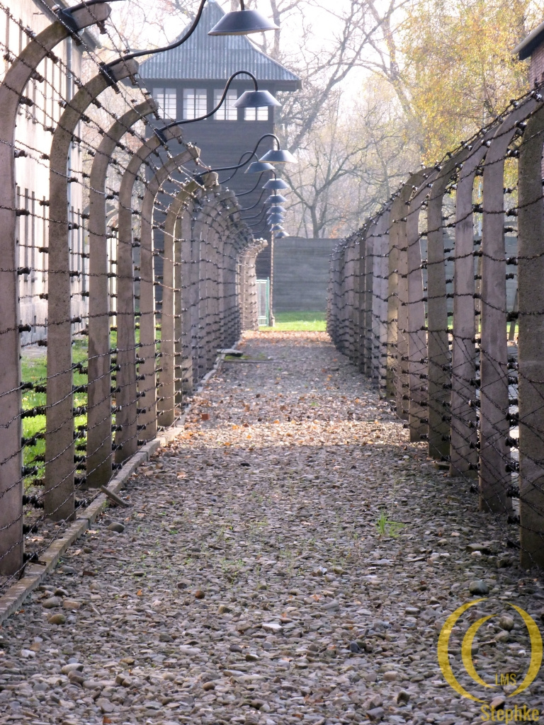 Fences