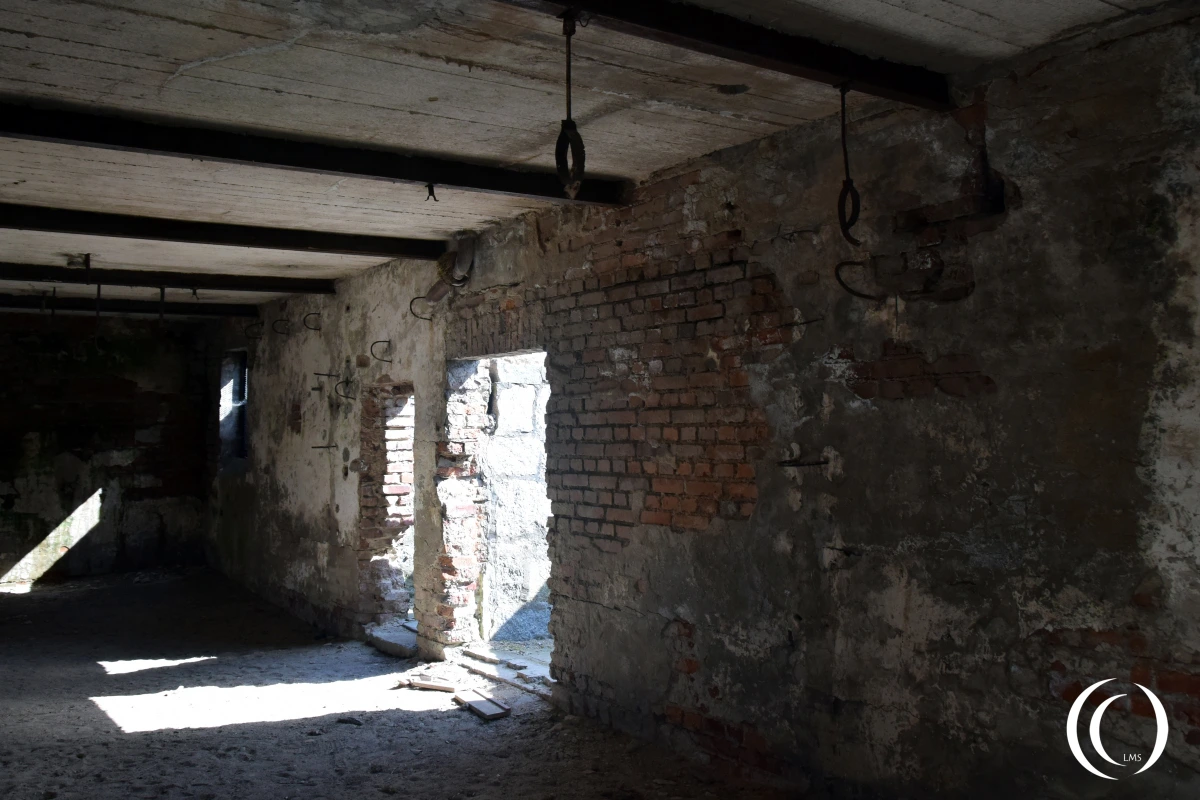 Inside of the Blaupunkt cellar in Gross-Rosen