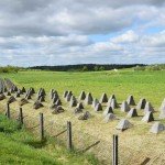 Höckerlinie - German Dragon's Teeth Fortification - Between Panzerwerk 716 and 717 Oder-Warthe-Bogen