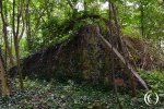 Fortress Hook of Holland: Artillery Stand Kormoran – Staelduinse Bos, s-Gravenzande, Netherlands