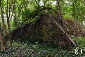 Fortress Hook of Holland: Artillery Stand Kormoran – Staelduinse Bos, s-Gravenzande, Netherlands