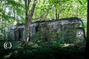 Fortress Hook of Holland: Stp. XIX – Staelduinse Bos, s-Gravenzande, Netherlands