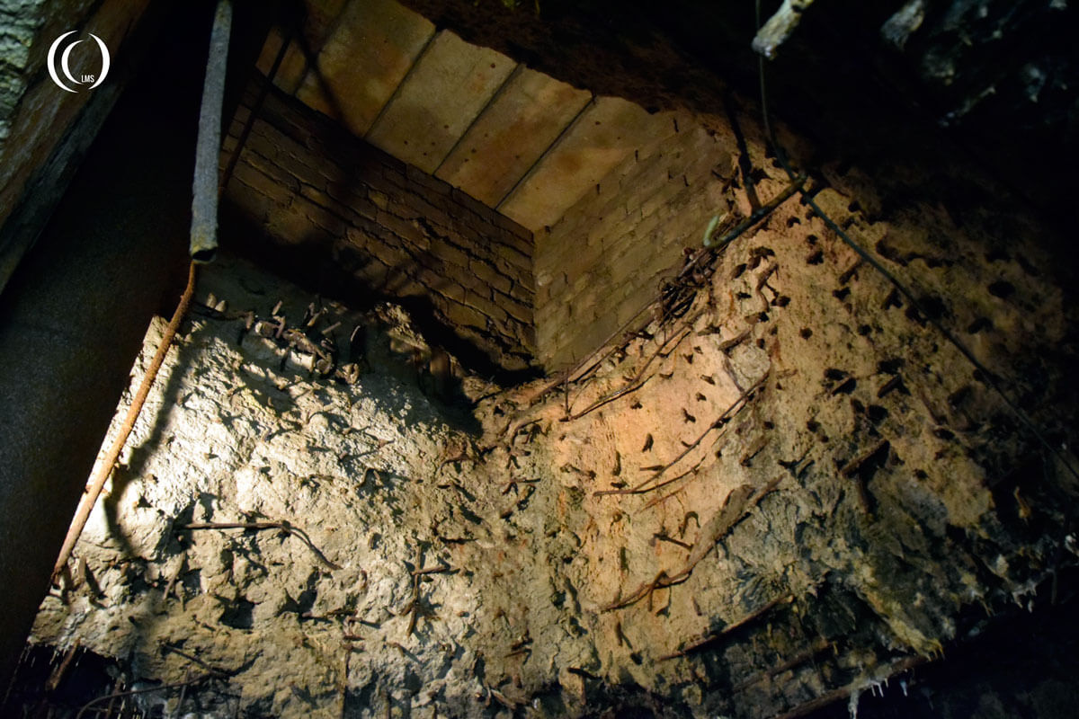 Another view of the hole in the concrete roof at the Zeppelin Bunker