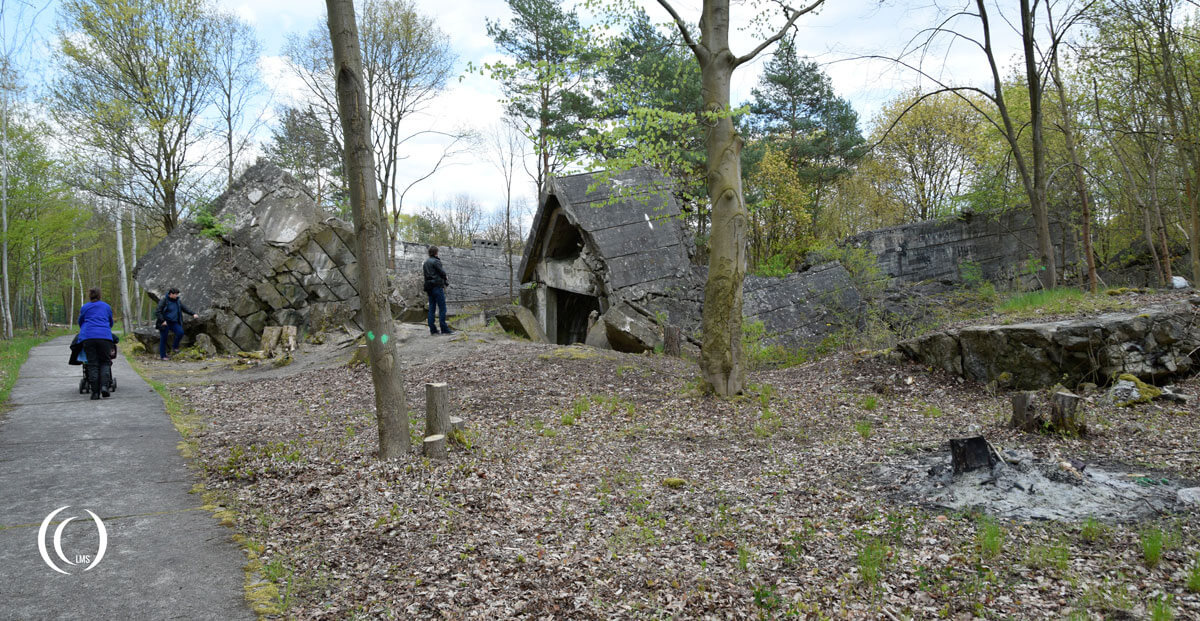 View of the bunkers scattered over the forest floor at Wunsdorf-Zossen Germany