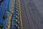 Anti-tank obstacles at Hedderwick Sands - Scotland