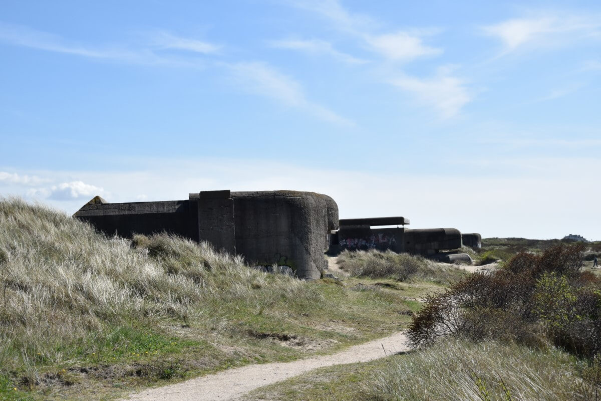 Battery Heerenduin - W.N.81