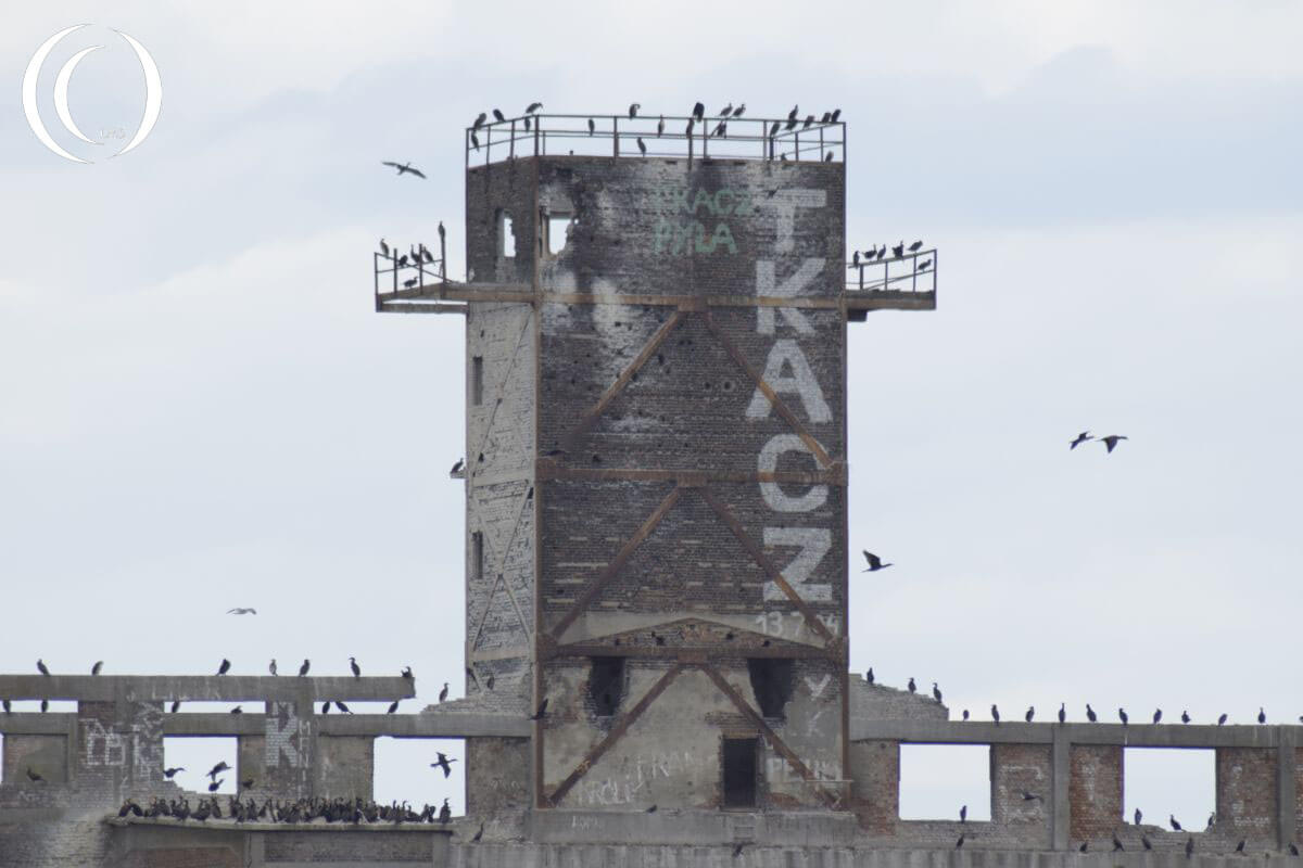Hexengrund - Observation Tower - Gdynia Poland