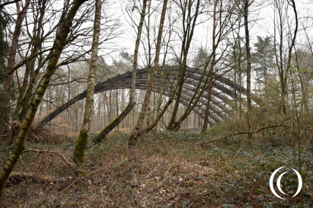 The last remaining Hangar, of the 42 build - Fliegerhorst Venlo