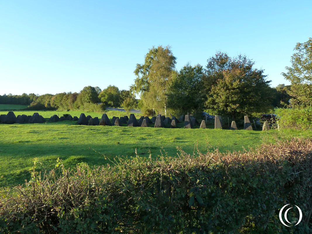 Dragon Teeth on the Siegfried Line, the Westwall - photo 2011