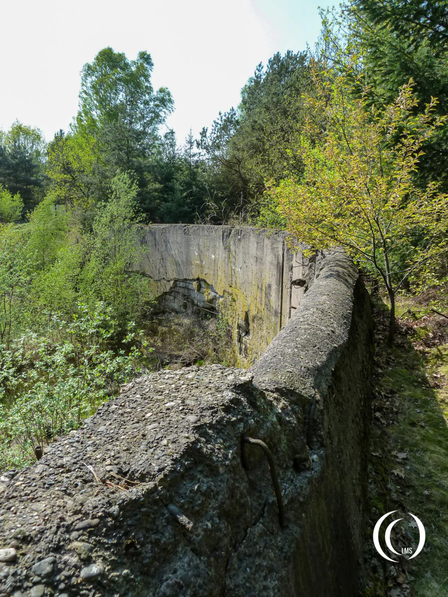 Bunker 7 KZ Farge
