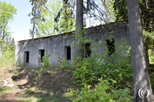 Project Riese – Concrete Factory Osówka, Säuferhöhen – Owl Mountains, Walbrzych Poland