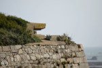 Observation post M9 – South Hill Oben - Jersey, United Kingdom