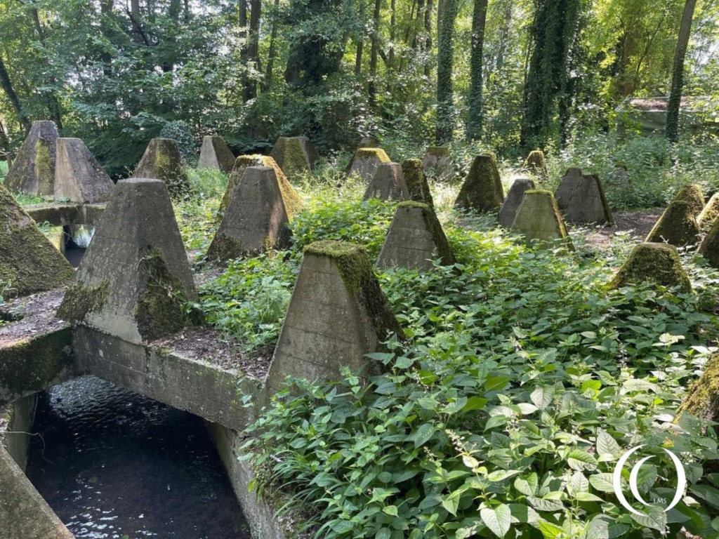 Anti Tank Ditch and Dragon’s teeth – Niederotterbach, Germany