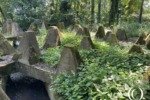 Anti Tank Ditch and Dragon’s teeth – Niederotterbach, Germany