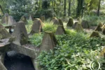 Anti Tank Ditch and Dragon’s teeth – Niederotterbach, Germany