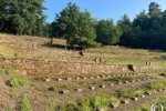German War Cemetery - Erenfriedhoff Dahn - Dahn, Germany