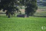 Type 24 pillbox in the field near Axmouth, United Kingdom
