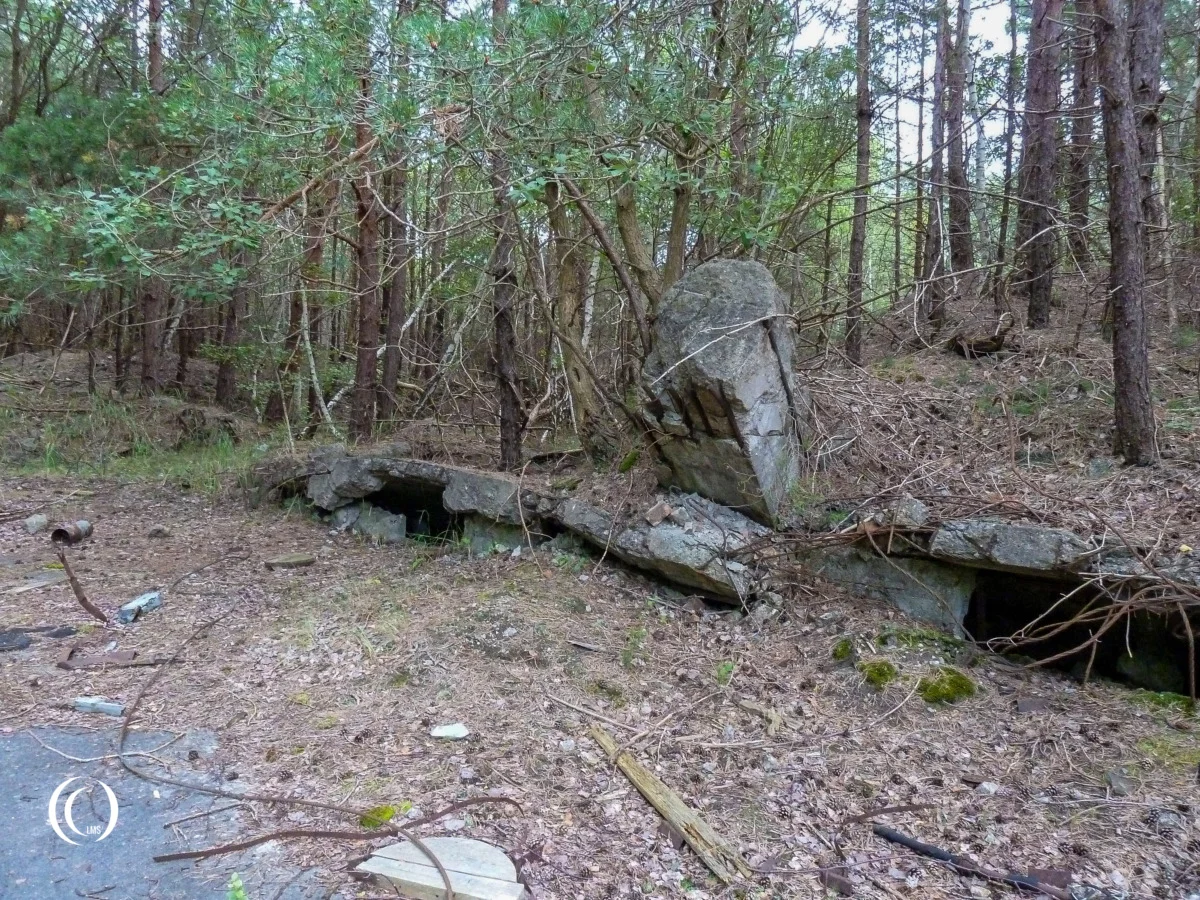 Remains of the former Fertigungshalle Peenemunde, Usedom, Germany