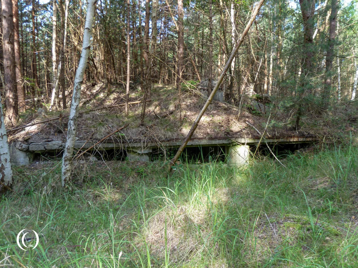 Remains of the former Fertigungshalle Peenemunde, Usedom, Germany