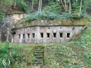 Battle for the Moselstellung 1944 – Alsace-Lorraine, France