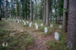 German War Cemetery Helsinki-Honkanummi – Vaanta, Finland