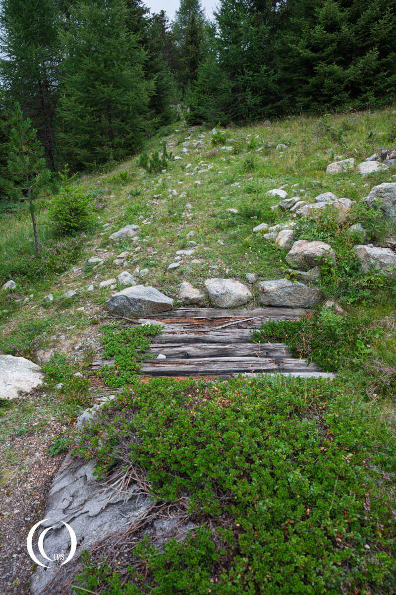 Covered trench leading to bunker (Opera XII) of the Pian dei Morti barrier in Alto Adige, Italy