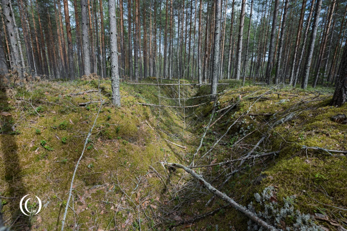 Trench leading from this position to bunker C59 at Salpa-asema Askola, Finland